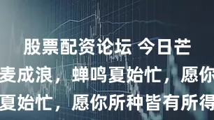 股票配资论坛 今日芒种！风吹麦成浪，蝉鸣夏始忙，愿你所种皆有所得