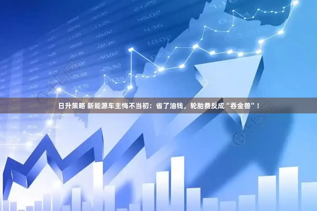 日升策略 新能源车主悔不当初：省了油钱，轮胎费反成“吞金兽”！