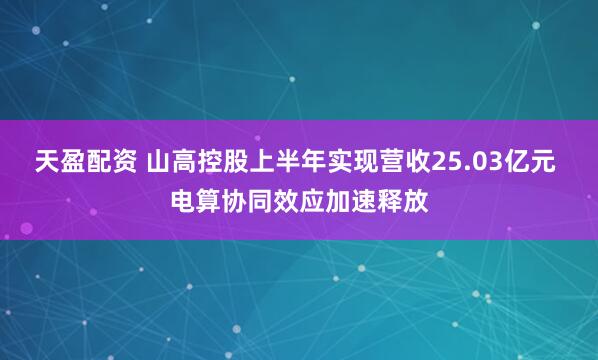 天盈配资 山高控股上半年实现营收25.03亿元 电算协同效应加速释放